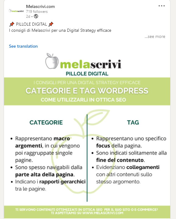 Post infografica sulla pagina linkedin di Melascrivi, dedicato a caegorie e tag wordpress