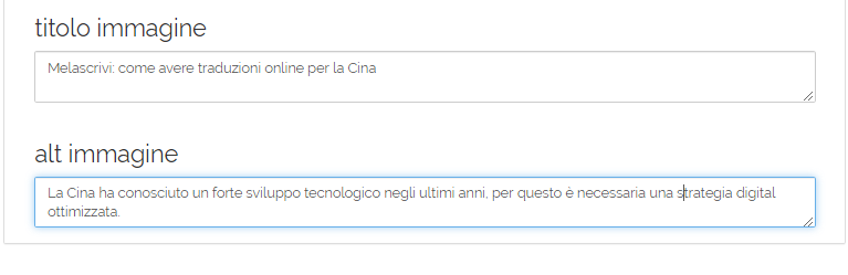 Screenshot di un CMS in cui viene inserita una nuova immagine e se ne ottimizzano il titolo e il testo alternativo.