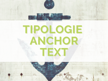 anchor-text-tipologie-guida